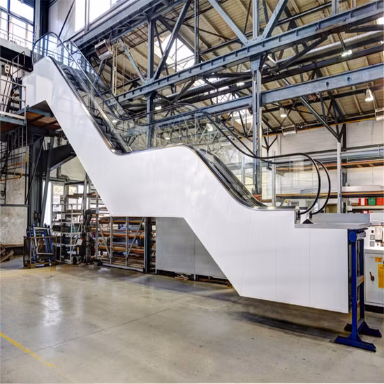 CE Eac Certified Smooth Running Stable Functioning Cheap Price Escalator
