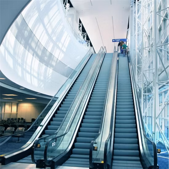 CE Eac Certified Smooth Running Stable Functioning Cheap Price Escalator